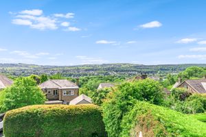 Photo 24- click for photo gallery